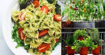 How to Create a Pasta Garden in Your Small Balcony - balconygardenweb.com - Italy
