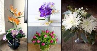 Best Happy Birthday Flowers According to Months - balconygardenweb.com