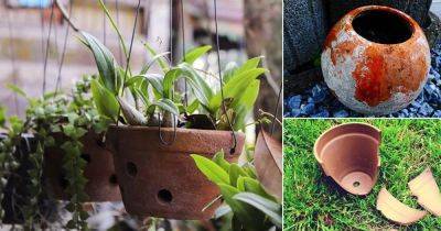 6 Ways Clay Pots For Plants Are Best | Clay Pot Uses & Benefits | - balconygardenweb.com