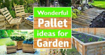 Wonderful Pallet ideas for the garden - balconygardenweb.com