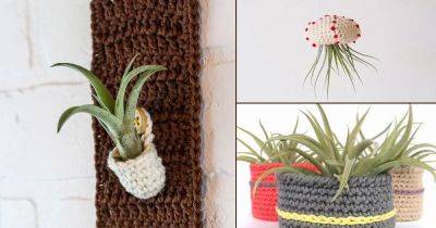 10 {FREE} Crochet Air Plant Holder Patterns - balconygardenweb.com