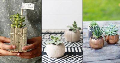 24 Most Creative DIY Succulent Planters On The Web - balconygardenweb.com