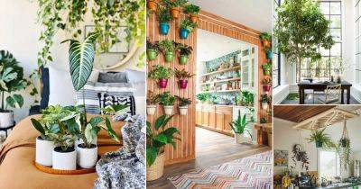 12 Best Ways to Make a Lush Indoor Garden at Home - balconygardenweb.com