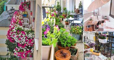 22 Summer Balcony Garden Ideas from Instagram - balconygardenweb.com