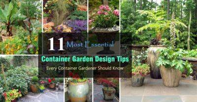 11 Most Essential Container Garden Design Tips | Designing a Container Garden - balconygardenweb.com