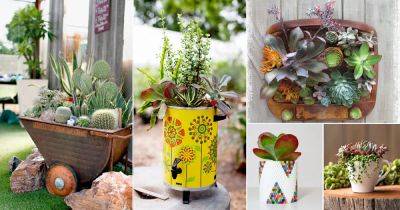 36 {Free} Succulent Container Ideas from Household Things - balconygardenweb.com