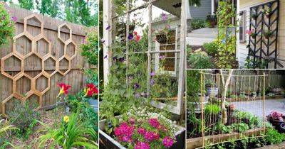 52 Best DIY Trellis for Plants Ideas (Indoors and Outdoors) - balconygardenweb.com