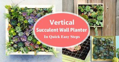 Vertical Succulent Wall Planter In Quick Easy Steps | DIY Succulent Frame - balconygardenweb.com
