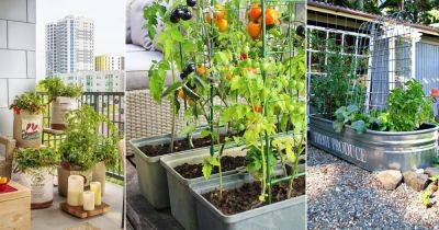 7 Top Tips to Grow More Vegetables in Small Space - balconygardenweb.com