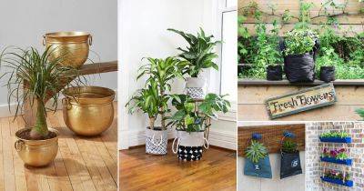24 DIY Plant Pot Containers with Handles - balconygardenweb.com