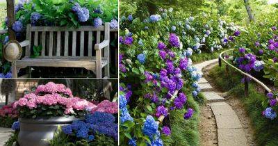 18 Excellent Landscaping With Hydrangea Ideas - balconygardenweb.com