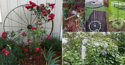 24 Best Upcycled Trellis Ideas For Garden | Cool Trellis Designs For Gardens - balconygardenweb.com