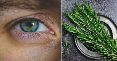 Improve Memory + 9 Other Rosemary Benefits Backed by Science * - balconygardenweb.com - region Mediterranean