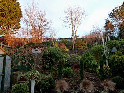 Looking back at a Year in the Garden - aberdeengardening.co.uk - city Aberdeen