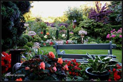 A final look at our Aberdeen garden in the Summer of 2013 - aberdeengardening.co.uk