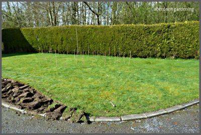 Making a Front Garden - aberdeengardening.co.uk