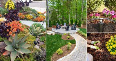 8 Easy Landscaping Tips for Low Maintenance Garden - balconygardenweb.com