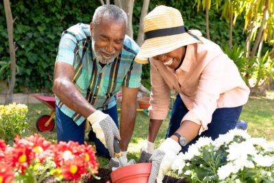 New study reveals gardening is the most popular hobby for retirees - growingfamily.co.uk - Britain
