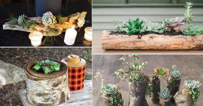 14 DIY Wood Succulent Planter Ideas - balconygardenweb.com