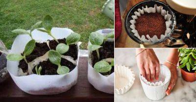 9 Awesome Coffee Filter Uses in the Garden - balconygardenweb.com
