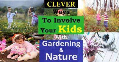 Involving Kids To Gardening & Nature | 9 Clever Ways - balconygardenweb.com