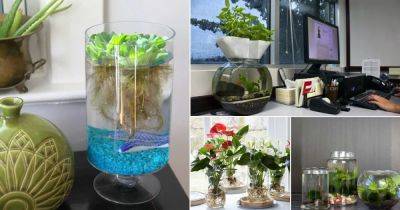 15 DIY Desktop Water Garden Ideas - balconygardenweb.com
