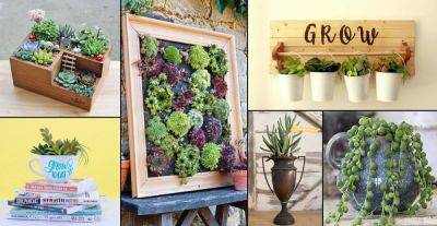 94 Best DIY Succulent Arrangement Ideas & Projects - balconygardenweb.com