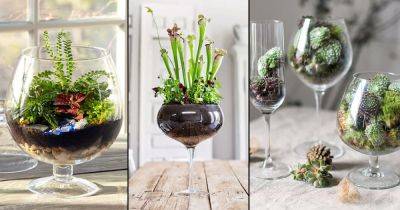 22 Beautiful Pictures of Wine Glass Terrariums - balconygardenweb.com