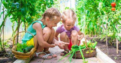 Your Go-To Guide for Gardening With Children | Gardener's Path - gardenerspath.com