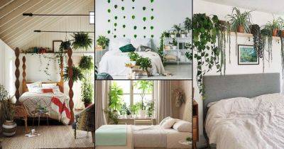 30 Awesome Indoor Plant Bedroom Pictures - balconygardenweb.com