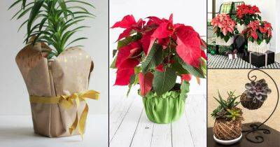 37 Spectacular Wrapped Potted Plant Centerpiece and Gift Ideas - balconygardenweb.com