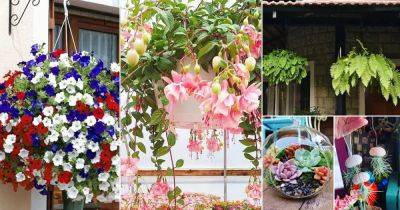 21 Classic Hanging Basket Plant Ideas for Garden - balconygardenweb.com
