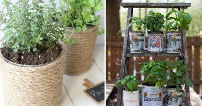 Growing Herbs In Tin Cans | 14 DIY Tin Can Herb Garden Ideas - balconygardenweb.com