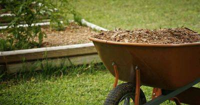 How to Use Mulch for Low Maintenance Gardening | Gardener's Path - gardenerspath.com