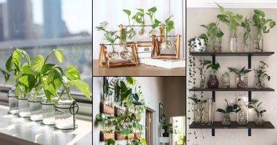 25 Indoor Plant Propagation Station Ideas - balconygardenweb.com