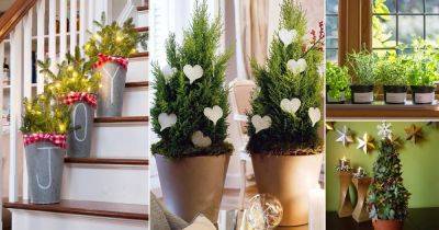 21 Exciting Indoor Winter Gardening Projects for December - balconygardenweb.com
