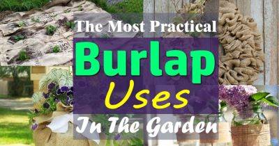 Burlap For Plants: 15 Practical Burlap Uses In The Garden - balconygardenweb.com