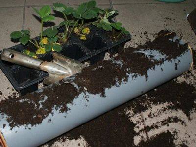 Growing Strawberries in Gutters | DIY Idea - balconygardenweb.com