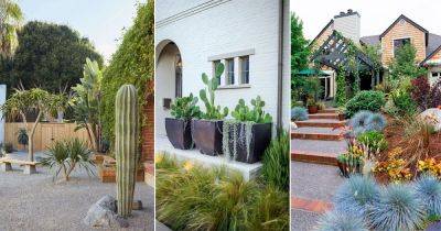 16 Front Yard Desert Landscaping Ideas | Drought Tolerant Garden Design - balconygardenweb.com