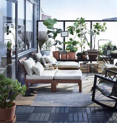 14 Best Houseplants for a Restful Sleep - balconygardenweb.com
