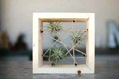 24 Chic DIY Air Plant Holders - balconygardenweb.com