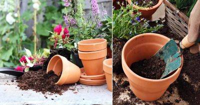 5 Container Gardening Tips (Soil) That You Need To Know Now - balconygardenweb.com