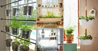 23 Really Clever Window Herb Garden Ideas for City Gardeners - balconygardenweb.com
