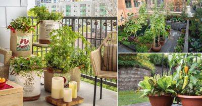 How to Make an Urban Vegetable Garden | City Vegetable Garden - balconygardenweb.com