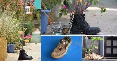 8 Awesome Old Shoe Hacks In Garden - balconygardenweb.com