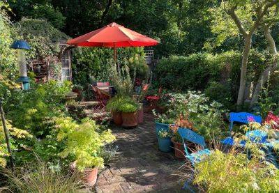 Cottage garden wildlife tips – the reality - londoncottagegarden.com