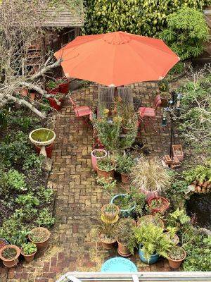 London Cottage Garden in March – views from the windows - londoncottagegarden.com - city London