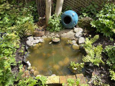 My cottage garden pond - londoncottagegarden.com
