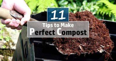 11 Best Composting Tips to Create a Perfect Compost - balconygardenweb.com