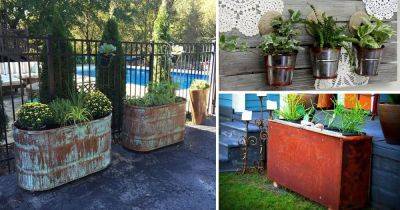 15 Appealing Rust Patina Planter Ideas | DIY Rusty Metal Planters - balconygardenweb.com
